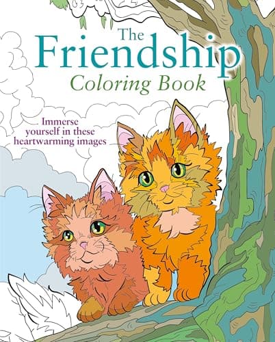 Cover of The Friendship Coloring Book