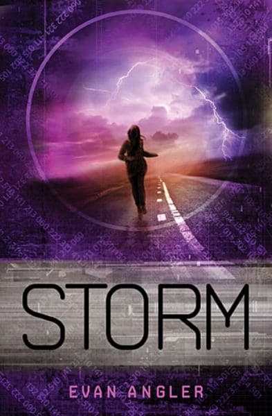 Cover of Storm (Swipe, Bk. 3)