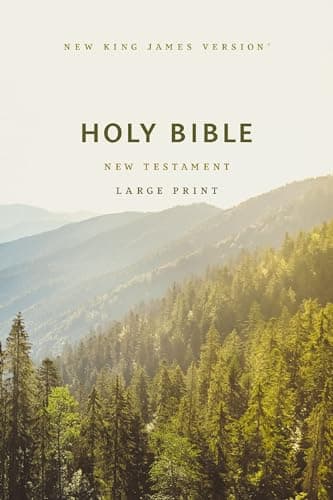 Cover of NKJV, Large Print Outreach New Testament  (#4350)