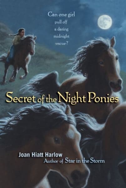 Cover of Secret of the Night Ponies