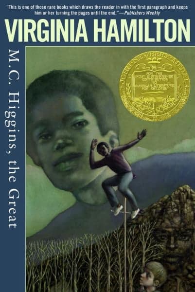 Cover of M. C. Higgins, the Great