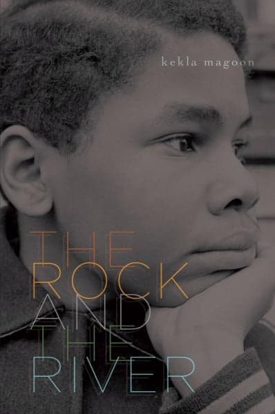 Cover of The Rock and the River