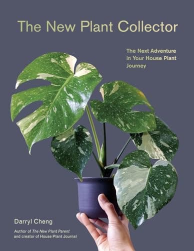 Cover of The New Plant Collector: The Next Adventure in Your House Plant Journey