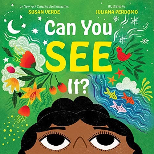 Cover of Can You See It?