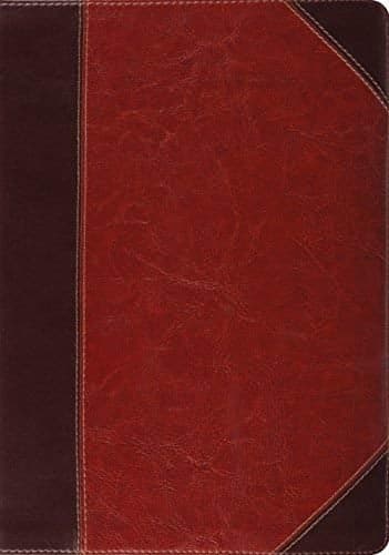 Cover of ESV Study Bible (TruTone Brown/Cordovan Portfolio Design)