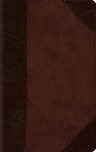 Cover of ESV Large Print Compact Bible (TruTone, Brown/Walnut, Portfolio Design)