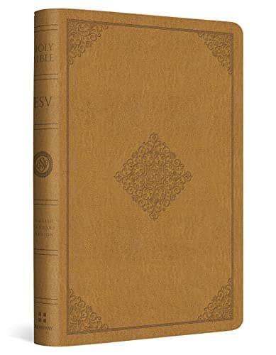 Cover of ESV, Value Compact Bible (TruTone, Goldenrod, Ornament Design