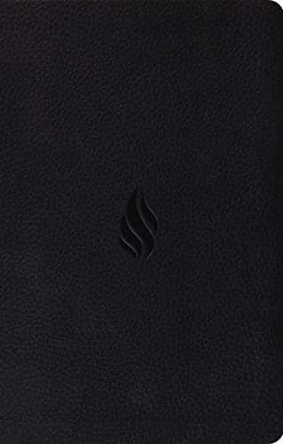Cover of ESV Premium Gift Bible (TruTone, Midnight, Flame Design)