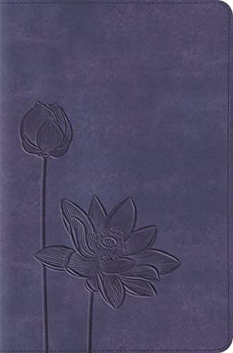 Cover of ESV Compact Bible (TruTone, Lavender Bloom)