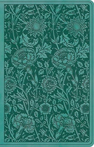 Cover of ESV, Premium Gift Bible (TruTone, Teal, Floral Design)