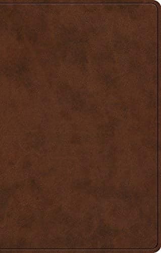 Cover of ESV, Premium Gift Bible (TruTone, Brown)