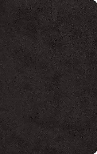 Cover of ESV Large Print Value Thinline Bible (TruTone Black)