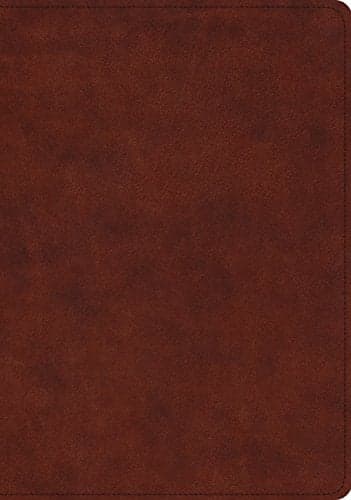Cover of ESV Study Bible (TruTone, Chestnut)