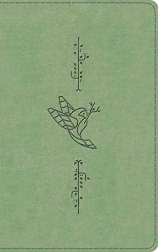 Cover of ESV Kid's Thinline Bible (TruTone, Bird of the Air)