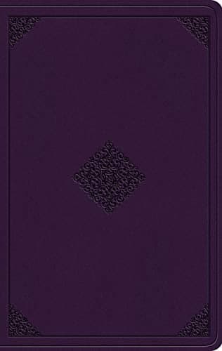 Cover of ESV Value Thinline Bible (TruTone, Lavender, Ornament Design)