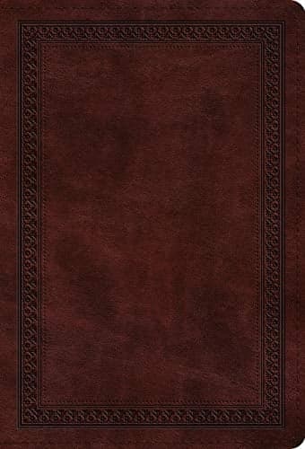Cover of ESV Large Print Compact Bible (TruTone Mahogany, Border Design)