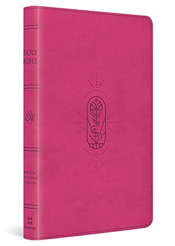 Cover of ESV, Kid's Thinline Bible (Berry Trutone)