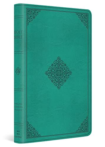 Cover of ESV Value Thinline Bible (TruTone, Teal, Ornament Design)