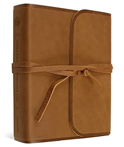 Cover of ESV, Single Column Journaling Bible (Brown, Natural Leather, Flap With Strap)