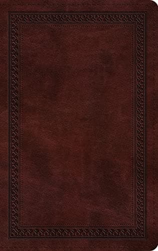 Cover of ESV Thinline Bible (TruTone, Mahogany, Border Design)