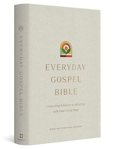 Cover of ESV, Everyday Gospel Bible