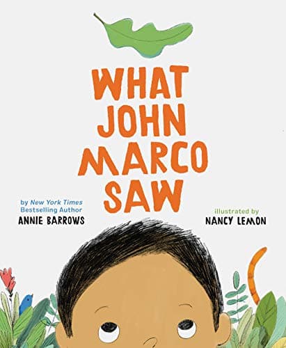 Cover of What John Marco Saw