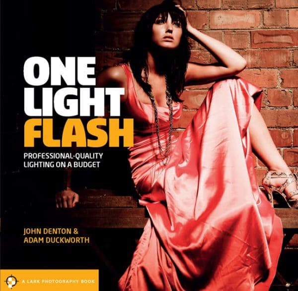 Cover of One Light Flash