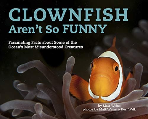 Cover of Clownfish Aren't So Funny: Fascinating Facts about Some of the Ocean's Most Misunderstood Creatures