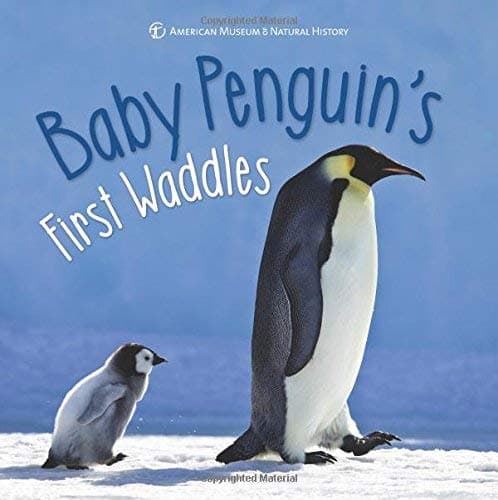 Cover of Baby Penguin's First Waddles (First Discoveries)