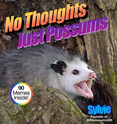 Cover of No Thoughts Just Possums
