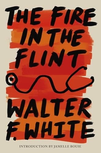 Cover of The Fire in the Flint