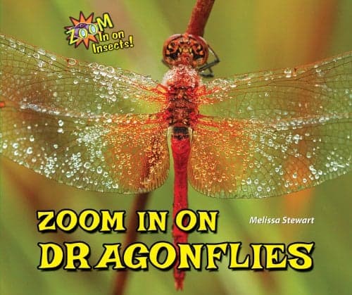 Cover of Zoom in on Dragonflies (Zoom in on Insects!)