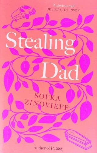 Cover of Stealing Dad