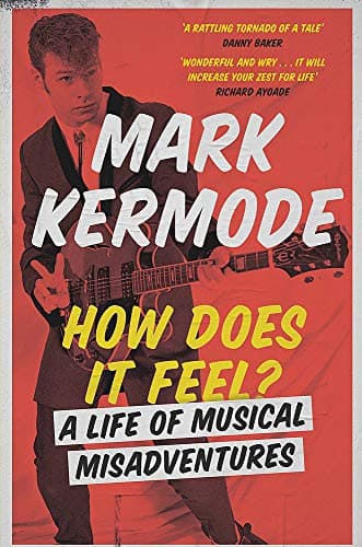 Cover of How Does It Feel?: A Life of Musical Misadventures