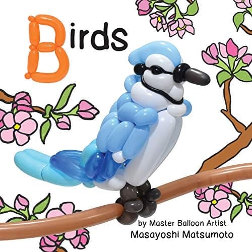 Cover of Birds (Balloon Art Books)