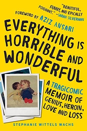 Cover of Everything Is Horrible and Wonderful: A Tragicomic Memoir of Genius, Heroin, Love, and Loss