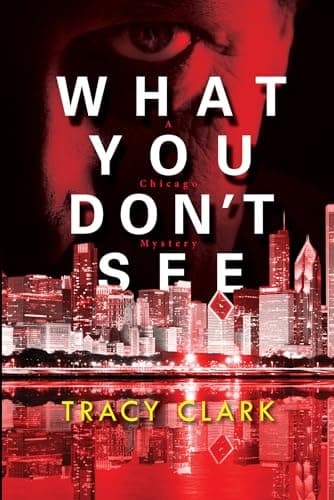 Cover of What You Don't See (A Chicago Mystery, Bk. 3)