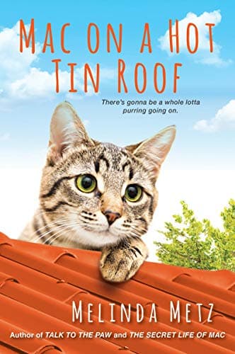 Cover of Mac on a Hot Tin Roof