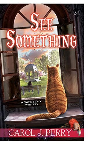 Cover of See Something (A Witch City Mystery, Bk. 11)
