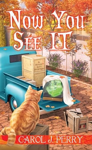 Cover of Now You See It (Witch City Mystery, Bk. 13)