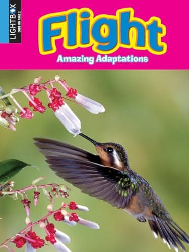 Cover of Flight (Amazing Adaptations)
