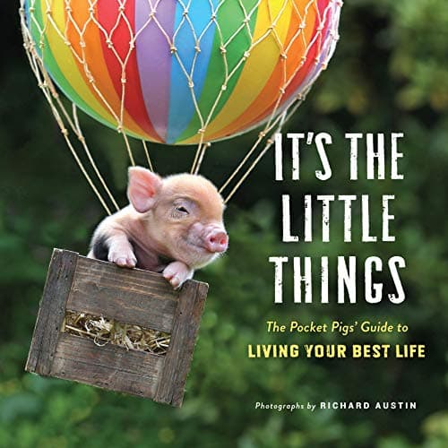 Cover of It's the Little Things: The Pocket Pigs' Guide to Living Your Best Life