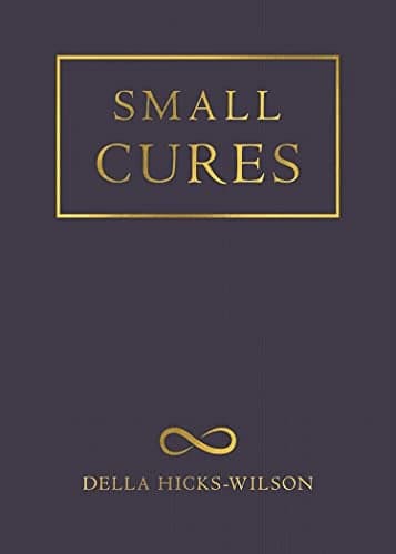 Cover of Small Cures