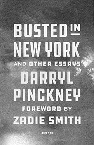 Cover of Busted in New York and Other Essays