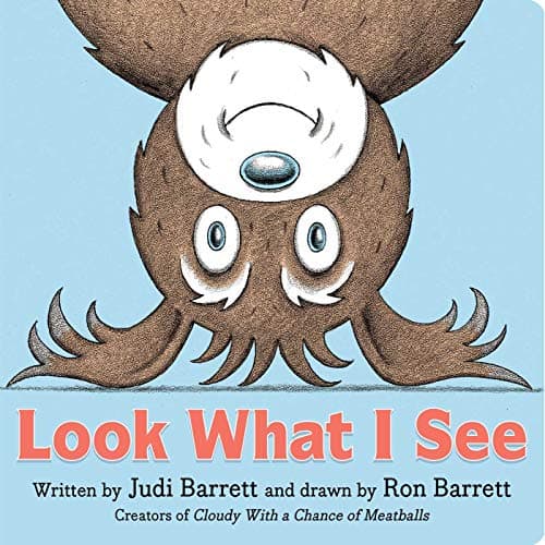 Cover of Look What I See