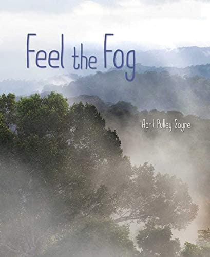 Cover of Feel the Fog (Weather Walks)