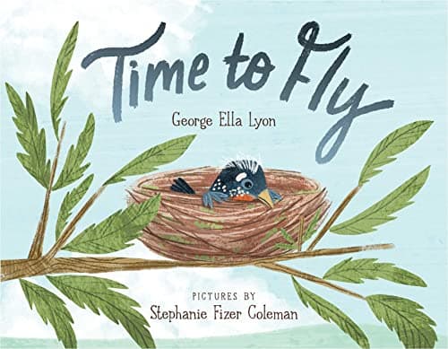 Cover of Time to Fly