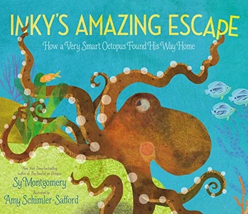 Cover of Inky's Amazing Escape: How a Very Smart Octopus Found His Way Home