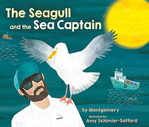 Cover of The Seagull and the Sea Captain