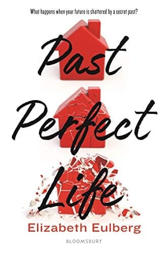Cover of Past Perfect Life